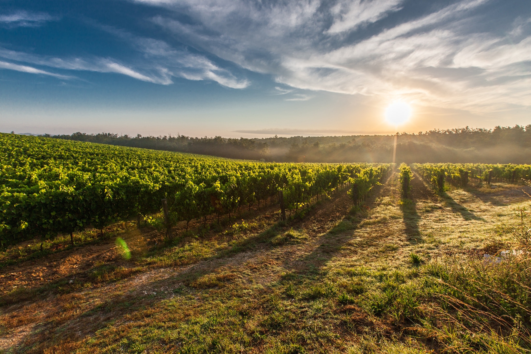Rioja